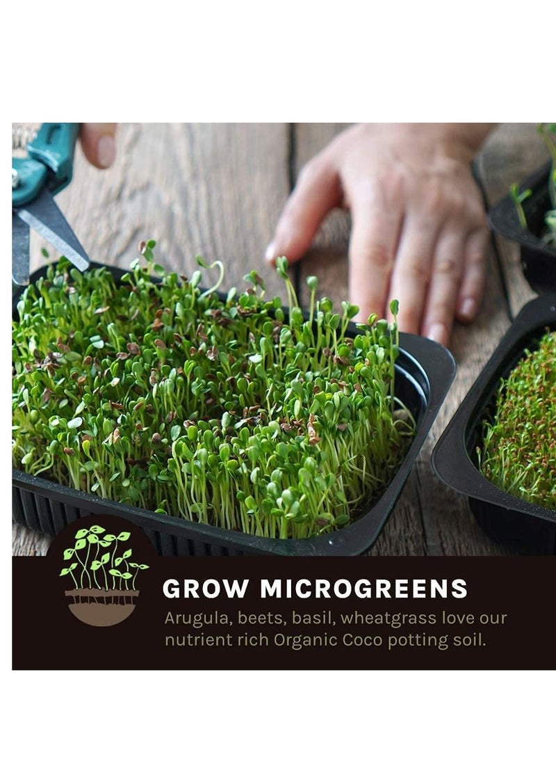 10L Loose Cocopeat For Indoor And Outdoor Plants High Quality Medium Growing Coco Peat Made In UAE 3Kg - Image 5