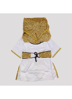 A pharaoh boy Costume - pzsku/Z743BDFF1B3A83818B941Z/45/_/1730198298/a1f929be-4248-4827-9362-2c65b2a077a6