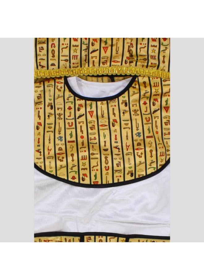 Generic A pharaoh boy Costume  - Image 3