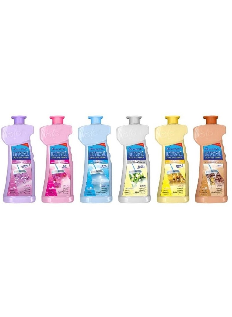 لويال معطر عام مركز 2100 مل 6 علبة في الكرتونة