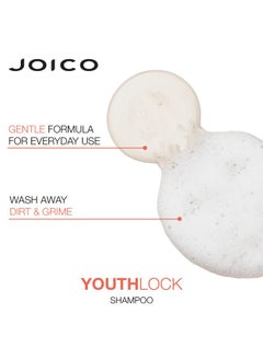 Oico Youthlock Shampoo Formulated With Collagen ; Youthful Body & Bounce ; Reduce Breakage & Frizz ; Soften & Detangle Hair ; Boost Shine ; Sulfate Free ; With Arginine ; 33.8 Fl Oz - pzsku/Z743E22CB6DD24565FC9AZ/45/_/1696065508/e97ebdf2-e25d-4b87-8623-0176180bbc06