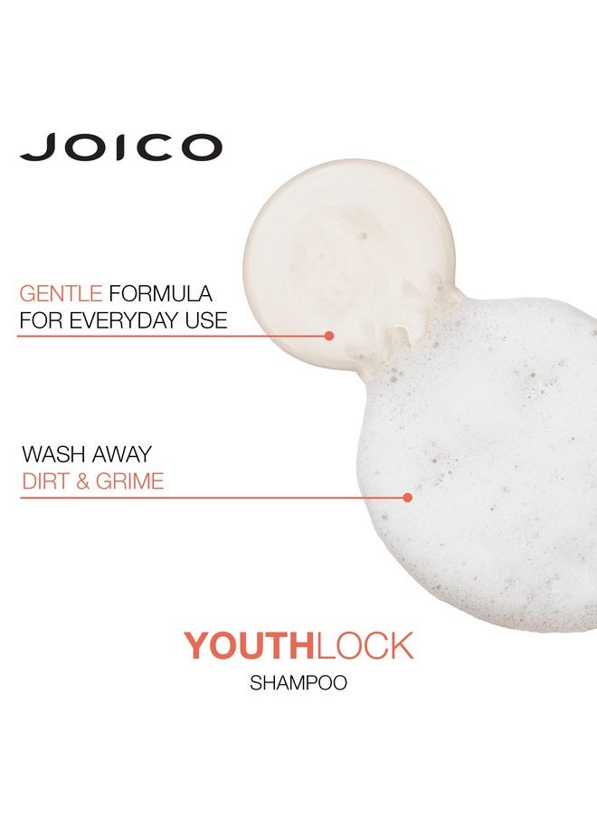 JOICO Oico Youthlock Shampoo Formulated With Collagen ; Youthful Body & Bounce ; Reduce Breakage & Frizz ; Soften & Detangle Hair ; Boost Shine ; Sulfate Free ; With Arginine ; 33.8 Fl Oz  - Image 5