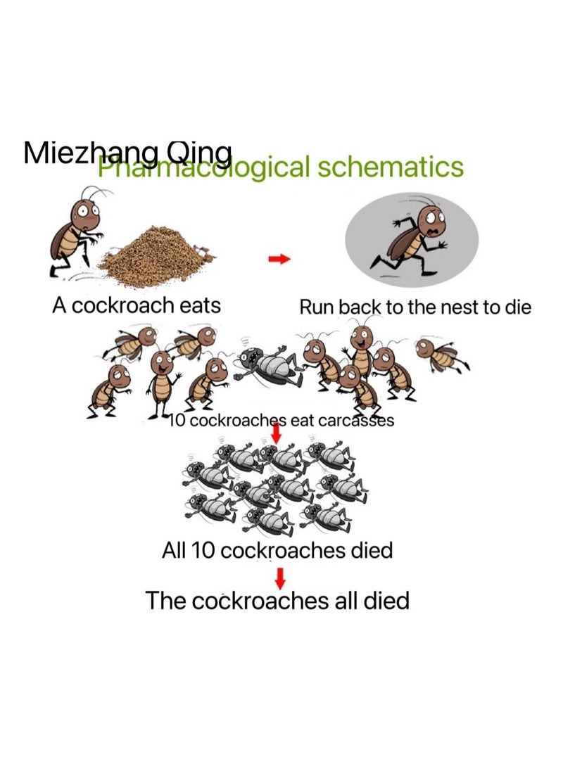 Miezhang Qing Cockroach Piller Powder 5 Pieces 5g  - Image 3