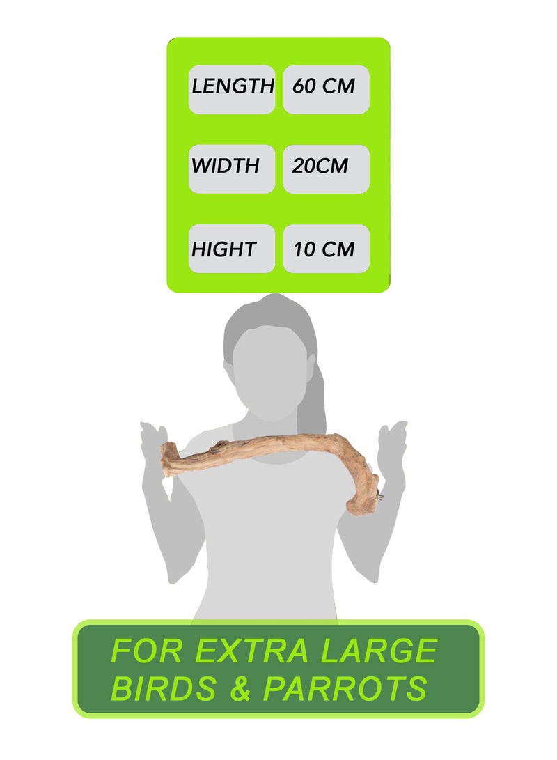 CHEWY BEAK Birds Stand Java wood Large Parrots Macaw Wooden Perch Natural Indonesian Wooden Tree branch Cage Accessories stick - Image 2