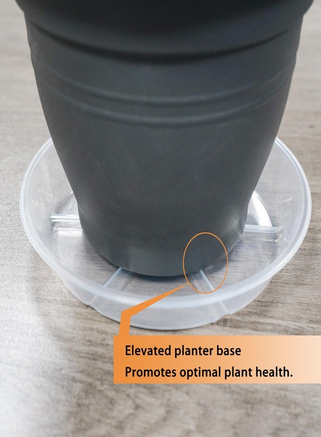 MSKIAUO Plant Saucer Pot Tray 6 inch, 6 Packs Clear Flower Planter Saucers and Drip Trays - Image 4
