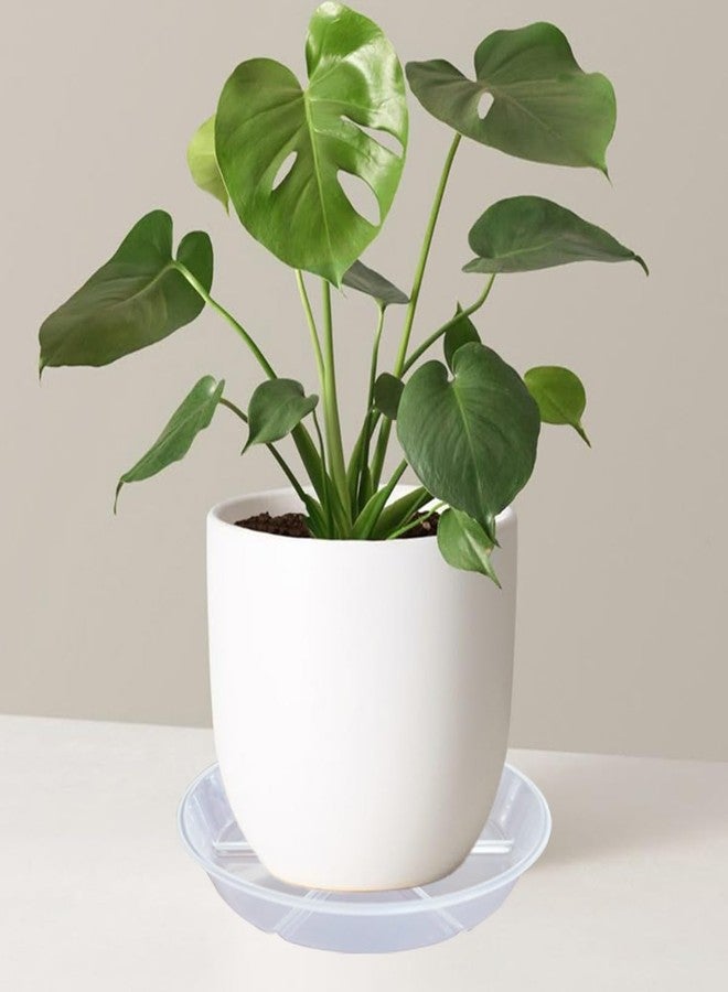 MSKIAUO Plant Saucer Pot Tray 6 inch, 6 Packs Clear Flower Planter Saucers and Drip Trays - Image 5