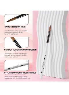 Aokitec Aokitec Acrylic Nail Brush Set - 4PCS Kolinsky Acrylic Nail Brushes Size 8/10/12/14 Nail Brushes for Acrylic Powder, Acrylic Application, Nail Extension & 3D Nail Carving for Beginner & Professional  - Image 3