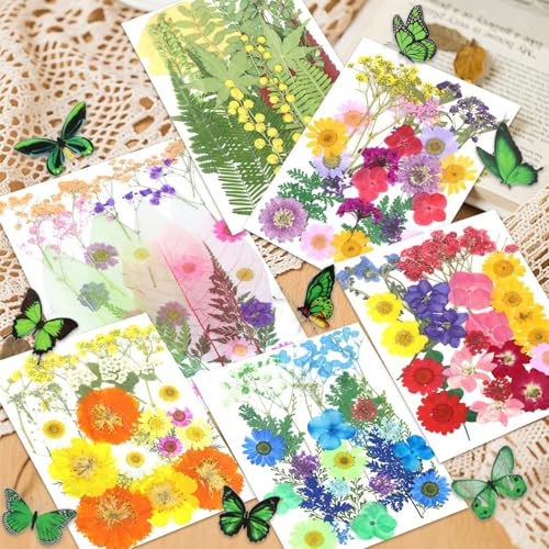 VCTSELITY 210 Pcs Dried Pressed Flowers for Resin, Dried Pressed Flowers for Crafts, Bulk Natural Dried Flowers Kit with DlY Butterfly Stickers&Tweezers for Resin Molds, Candles, Soap,Jewelry Making, Art Crafts - Image 4