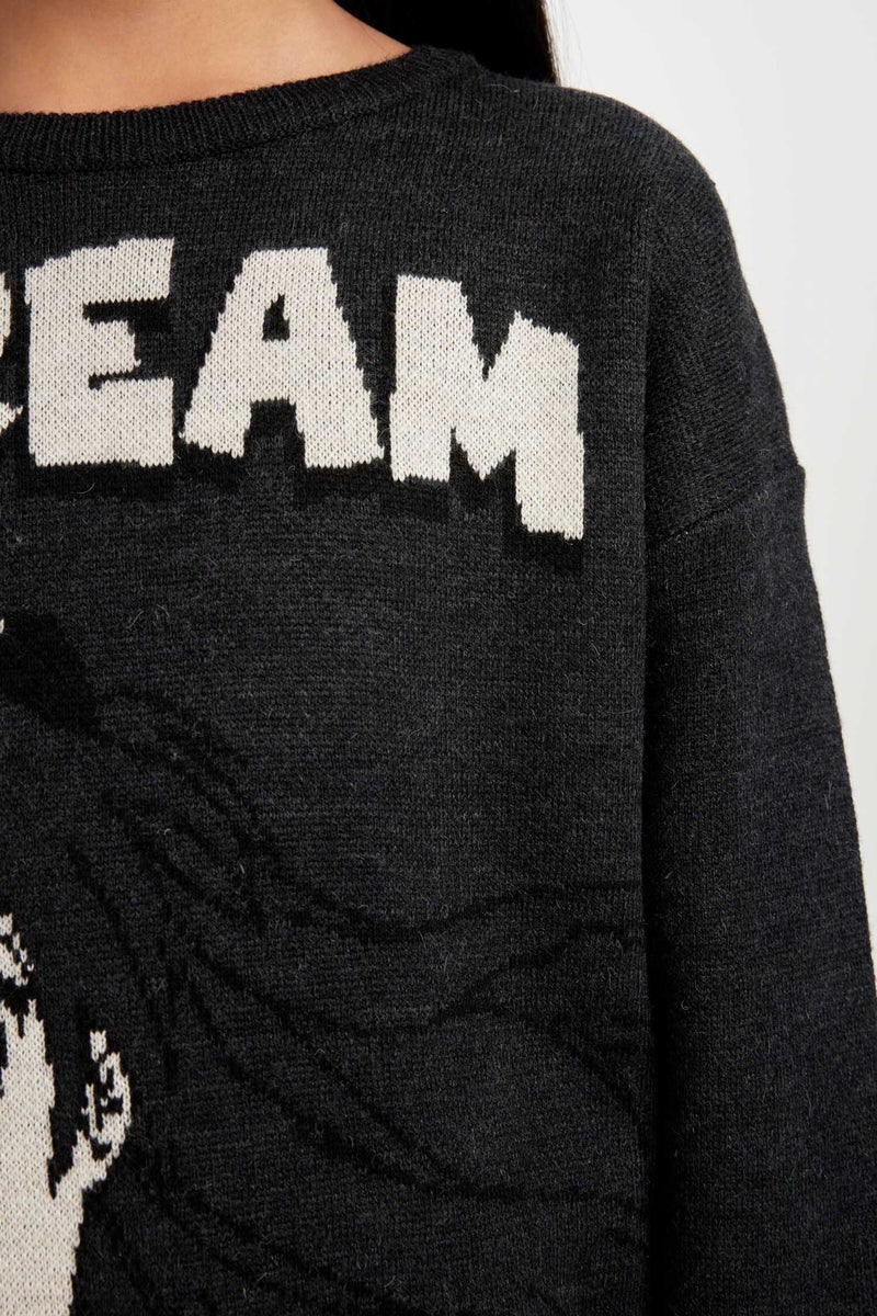 DeFacto Grey Girl Girl Regular Fit Crew Neck Patterned Knitwear Pullover Casual - Image 5