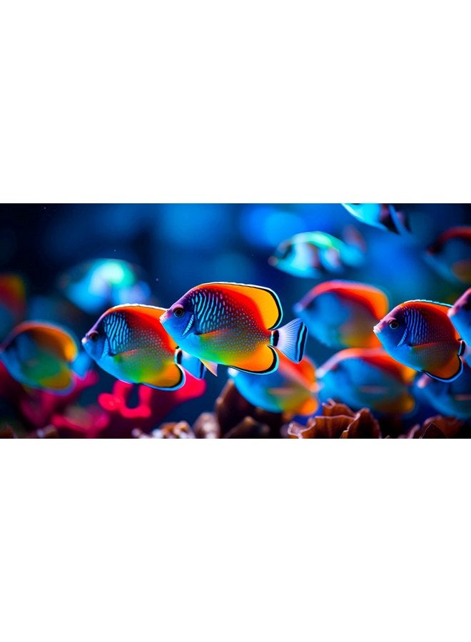 دانر Danner Manufacturing, Inc., Supreme Oxy-Flo AP- 3، مضخة هواء منخفضة الحجم لأحواض السمك، 06403 - Image 3