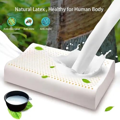 AJISH 100% Organic Contour Latex Pillow Ultra Plush Latex Foam Bed Pillow for Sleeping, Side and Stomach Sleepers- with Inner Cotton Cover, Pack of 1 White - Image 2