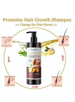 SADOER Ginger Refreshing And Soft Shampoo Dandruff 500ml  - Image 5
