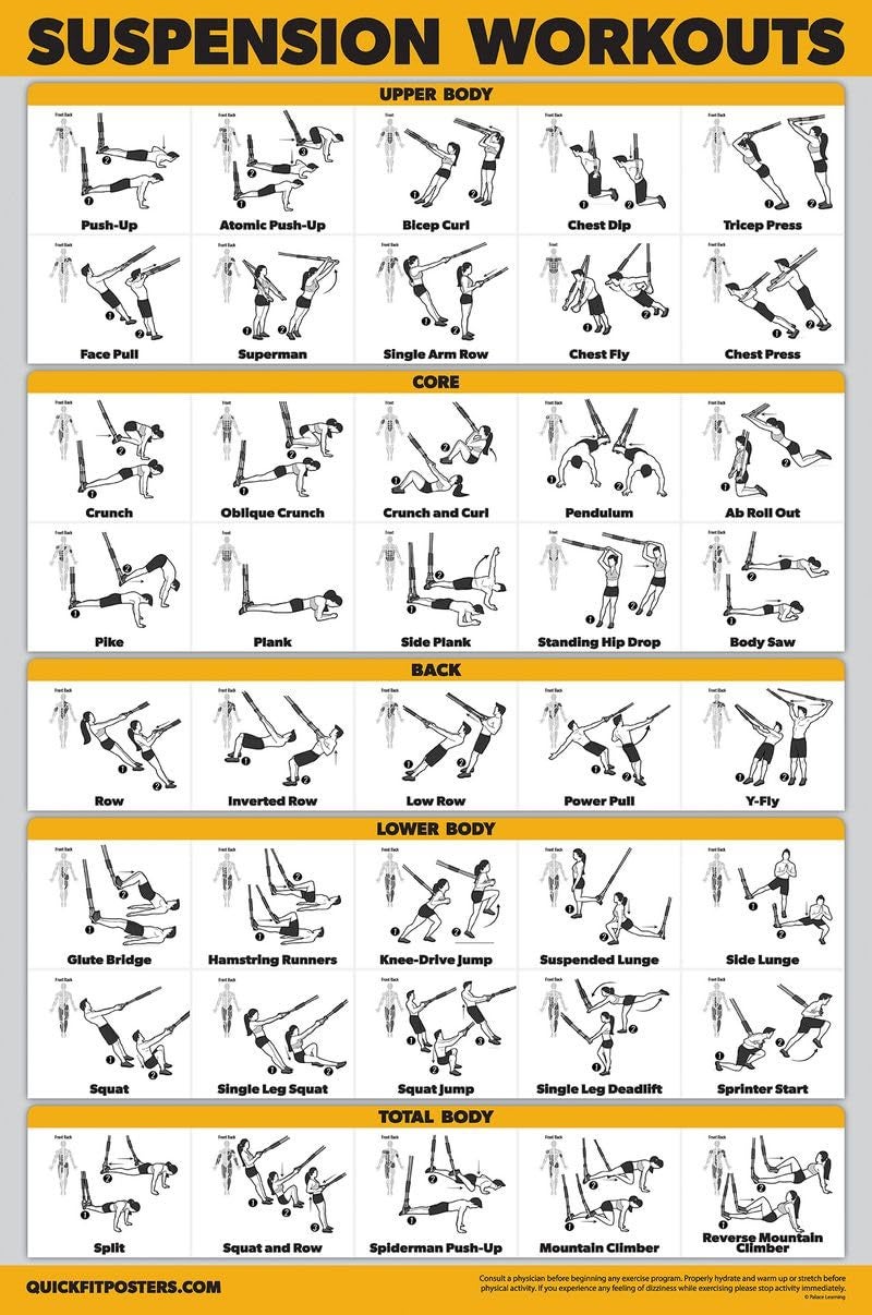 Palace Learning Palace Learning QUICKFIT Suspension Workout Exercise Poster  Laminated 18in x 24in Hallway