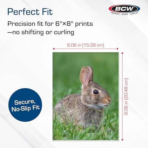 BCW 6x8 Photo Sleeves - 100 Pack | Archival Photo Sleeves for Art, Postcards & Photos | Acid-Free, No PVC | Archival Quality for Storage & Display - Image 3
