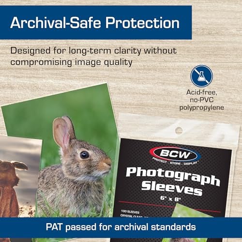 BCW 6x8 Photo Sleeves - 100 Pack | Archival Photo Sleeves for Art, Postcards & Photos | Acid-Free, No PVC | Archival Quality for Storage & Display - Image 5