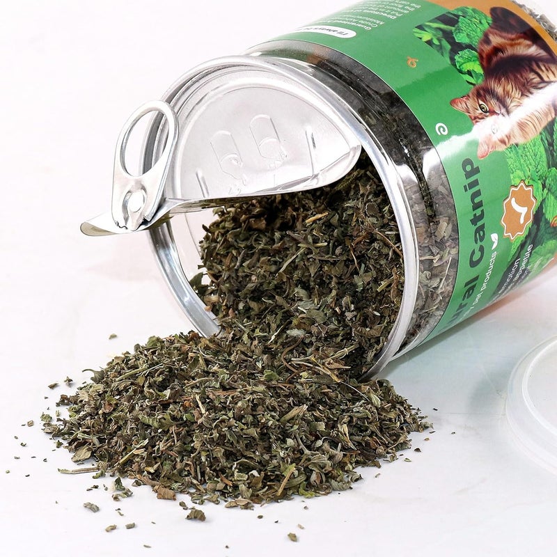 TZL Natural Dried Catnip, Premium Cat Nip for Indoor Cats, Use for Refillable Catnip Toys for Cat Play, Training 40g - Image 2