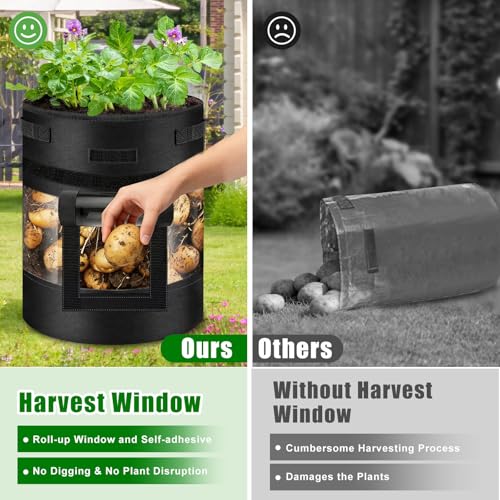 GJL 5 Pack 10 Gallon 360° Visible Potato Grow Bags with Shading Flap & Harvest Window – Heavy Duty 400g Non-Woven Fabric Potato Bags for Growing Potatoes with 10 Green Labels, Potato Growing Containers - Image 4