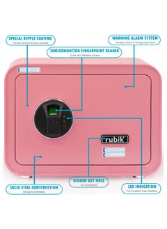 Safe Box with Biometric Fingerprint Lock, A4 Document Size Safety Deposit Box for Home Office Shop RB25QC9 (25x35x28cm) Flamingo Pink - pzsku/Z74480CE7800A7064EF38Z/45/_/1717086589/efea3242-8baa-45ee-8cc8-458d9a36a13e