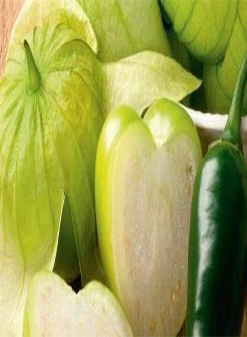 بذور الطماطم الخضراء