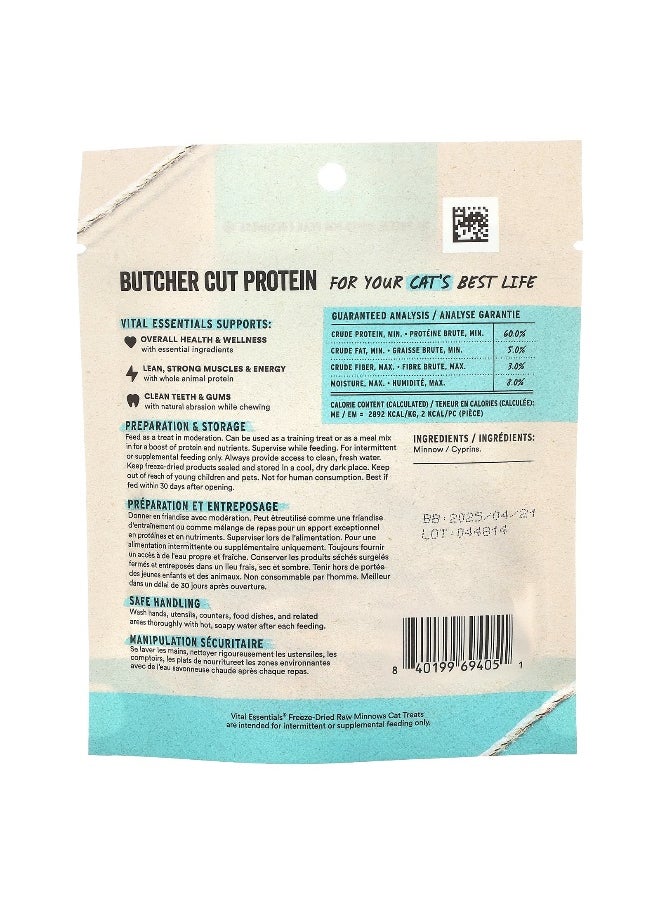 Vita Essentials - Vital Essentials, Freeze-Dried Raw Cat Treats, Minnows, 0.5 oz (14.2 g) - Image 1