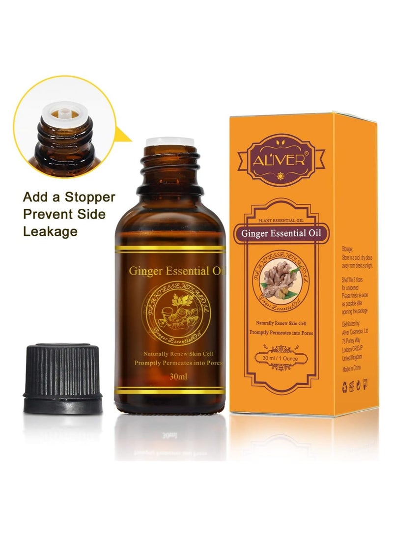 ALIVER 100% Pure Ginger Essential Oil for Hair Growth and Massage - Image 2