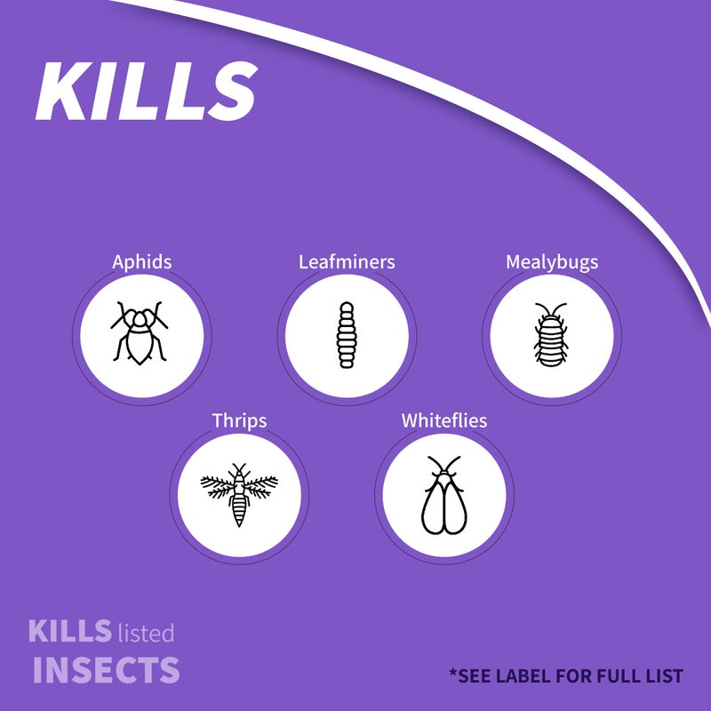 Bonide مبيد حشري نظامي للنباتات المنزلية من بونيد، 8 أونصات حبيبات جاهزة للاستخدام للداخل والخارج، تحمي النباتات من الحشرات - Image 3