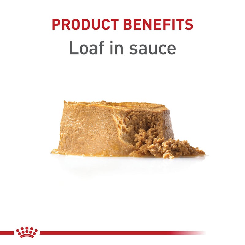 Royal Canin Canine Health Nutrition Puppy Loaf in Sauce Dog Food, 5.2 oz (Pack of 12) - Image 2