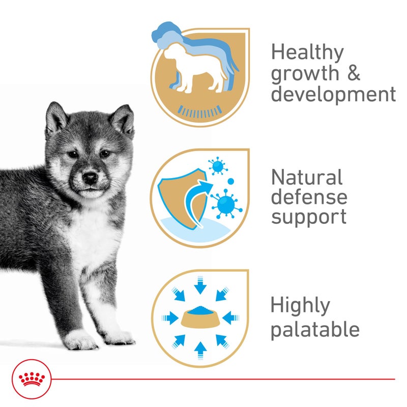 Royal Canin Canine Health Nutrition Puppy Loaf in Sauce Dog Food, 5.2 oz (Pack of 12) - Image 3