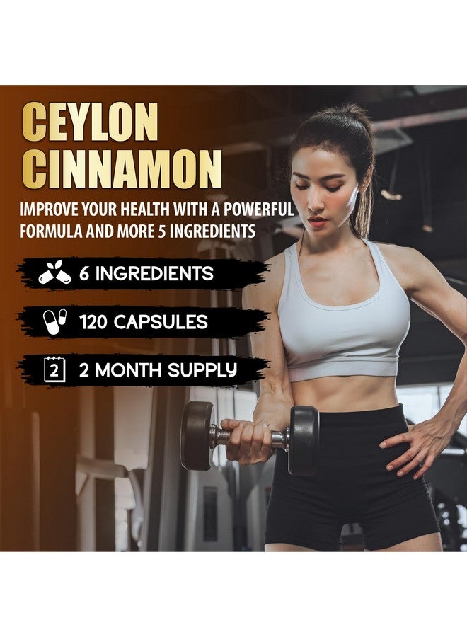 BMVINVOL Ceylon Cinnamon Capsules with Berberine HCl Supplement - Panax Ginseng, Apple Cider Vinegar, Turmeric Curcumin - Support Immunity & Energy Production - 60 Capsules [2 Month Supply] - Image 2