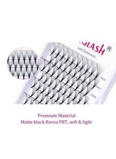 FADLASH 10D Premade Volume Eyelash Extensions Pro Ponit Premade Lash Extensions Fans Pre Made Fanned Russian Volume Lash Extensions Long Lasting (10D-0.07-C, Mix 8-14mm) 