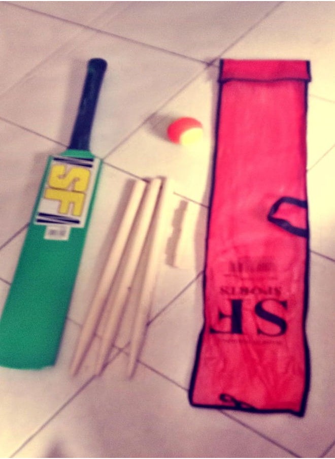 Generic Popular Willow Cricket Bat with Tennis Ball, with Wickets and Bat Cover Combo for All Tennis Ball Cricket Bat for kids  - Image 1