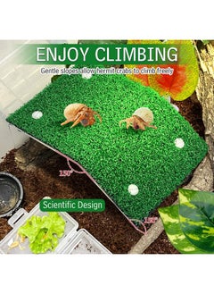Kathson kathson Hermit Crab Climbing RampToy & Decorations - Gecko Tank Accessories - Reptile Climbing Decor & Basking Platform - Terrarium Décor for Crested Gecko, Hermit Crab & Lizard  - Image 4