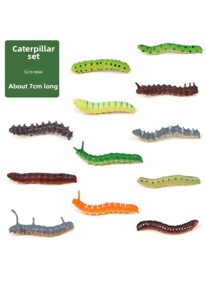 Marine Dinosaur Farm Insect Forest Simulation Small Animal Model Children's Toys Early Education Cognitive Suit Wholesale-Colour:12 Types Of Caterpillar Sets  - Image 1