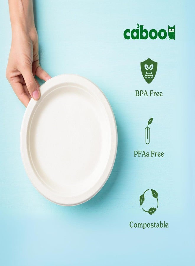 Caboo Disposable Bamboo Paper Bowls, 125 Pack of 14 Ounce Sturdy Biodegradable Bowls, Compostable Bowl, Microwave Safe Party Bowl, Eco Friendly Alternative to Plastic - Image 3