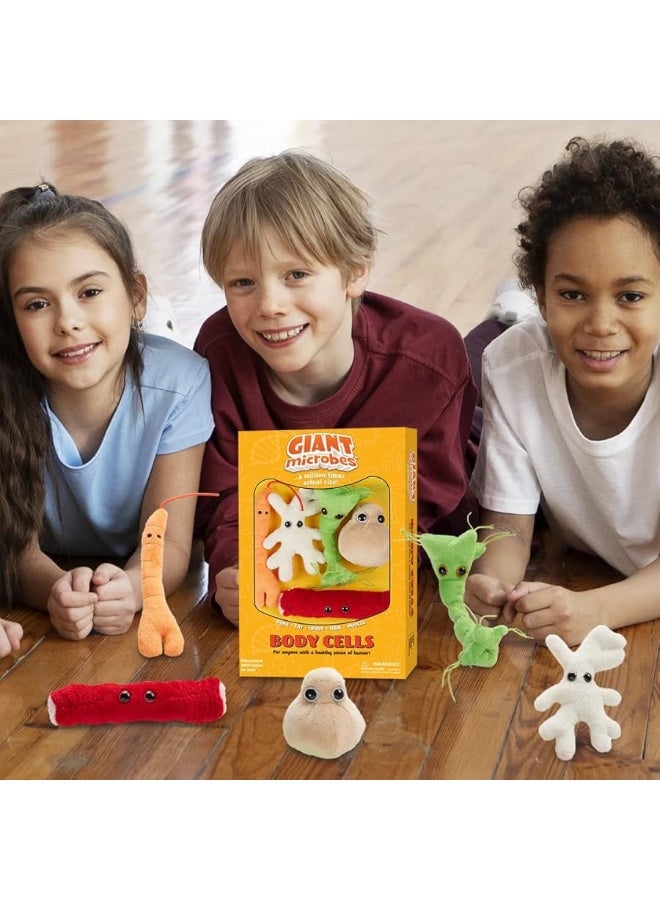 GIANT microbes Body Cells Themed Gift Box â€“ Learn about the Cells in your Body with this 5 piece Box Set of 3â€ minis. Educational Gift for Students, Scientists, Teachers and Healthcare Professionals - Image 2
