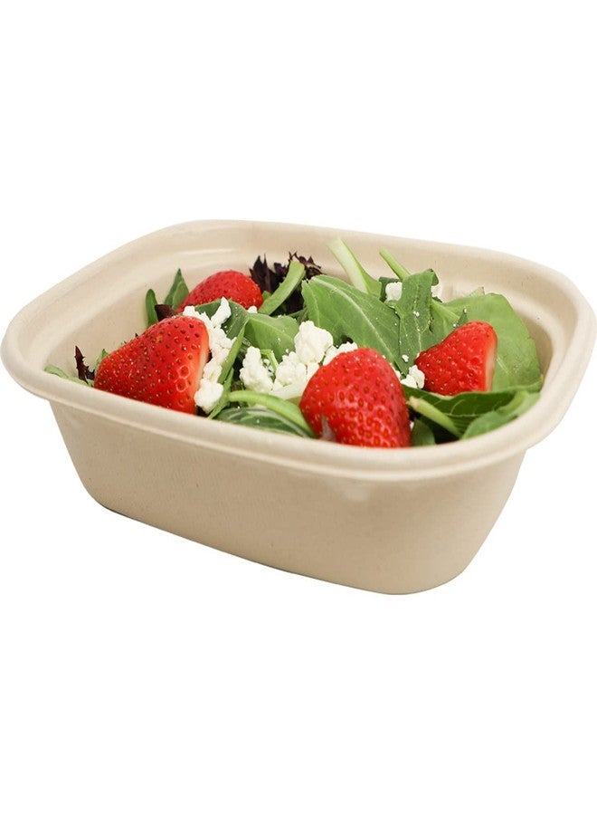World Centric - CT-SC-U2 100% Compostable to-Go Boxes by , Made from Unbleached Plant Fiber, Great for Takeout, 8.8" x 6.8" x 2.25", 32 oz, (Pack of 400)