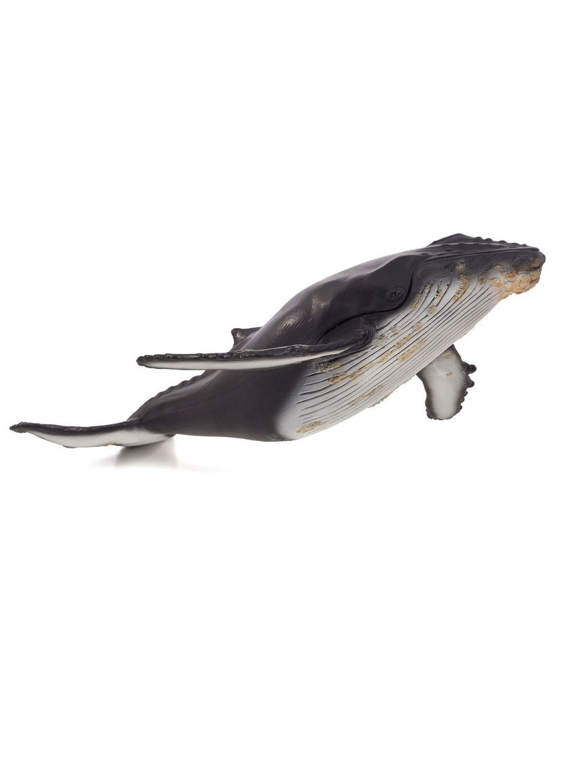 MOJO - Mojo Humpback Whale Large (Portugal) - DII - Image 1