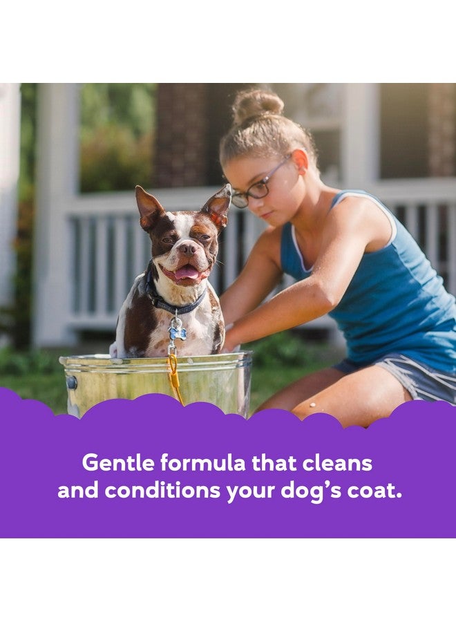 BUDDY BISCUITS Buddy Grooming Wash 2 in 1 Dog Shampoo, Lavender & Mint, 16 oz. Bottle - Image 2