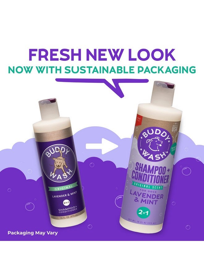 BUDDY BISCUITS Buddy Grooming Wash 2 in 1 Dog Shampoo, Lavender & Mint, 16 oz. Bottle - Image 1
