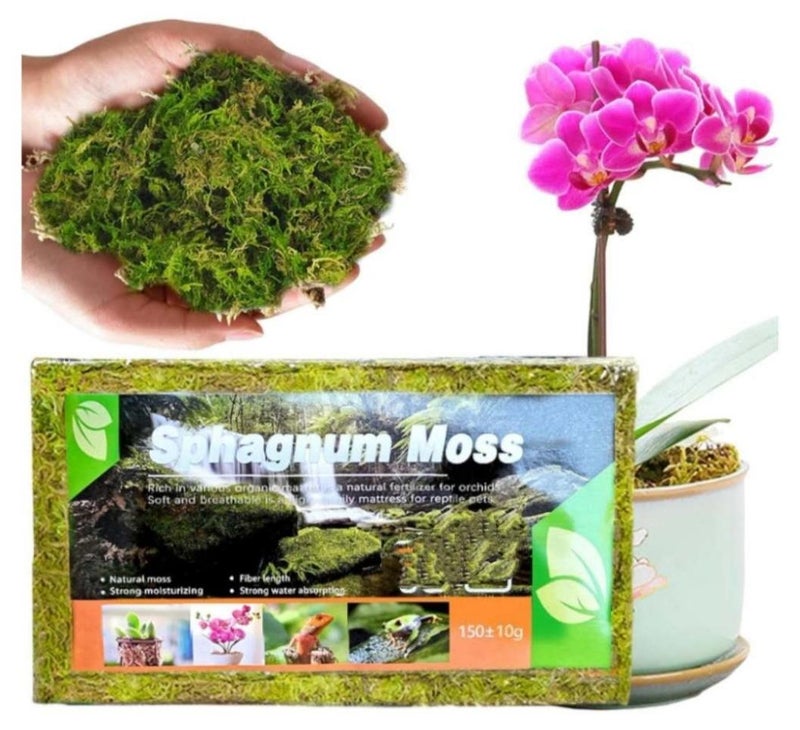 OASIS-TH 150g Premium Compressed Long Fibered Dried Sphagnum Moss Natural Potting Mix for Succulent, Carnivorous Plants, Orchid Plant Soil, Air Layering, Mulching, Propagation, Reptile Or Amphibians’ Terrariums - Image 1