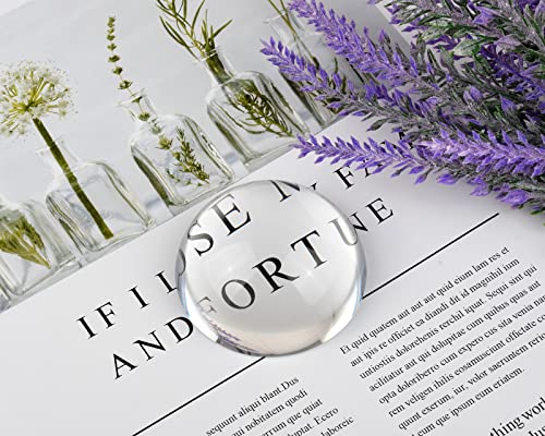 DS.DISTINCTIVE STYLE DS. DISTINCTIVE STYLE Paperweight Paper Weights for Office 2.4-Inch Crystal Dome Magnifier - Image 4