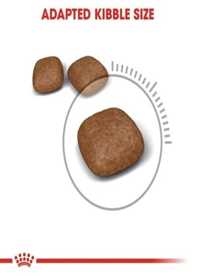 رويال كانين للعناية بالقطط، تغذية العناية بالمسالك البولية، طعام جاف للقطط 2 كجم، أحمر (لجميع مراحل الحياة، بنكهة الدجاج)، عبوة واحدة - Image 3