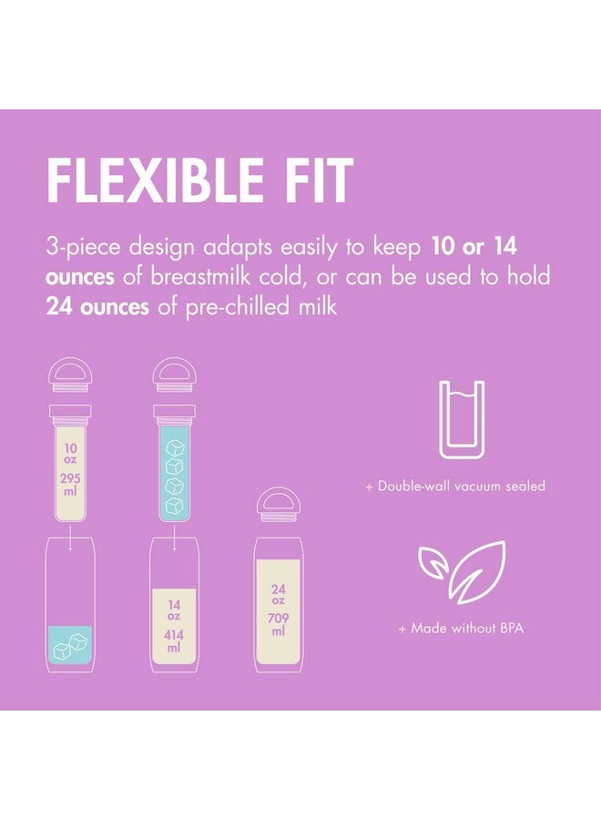 بون مبرد حليب الثدي المحمول Boon Frosh - حاوية تبريد وتخزين من الفولاذ المقاوم للصدأ - أرجواني - يحافظ على برودة الحليب لمدة تصل إلى 17 ساعة - Image 2