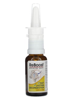 T-Relief ReBoost Breathe Easy Decongestion Spray 0.68 fl oz (20 ml) - pzsku/Z745A328EF14FB5617EA7Z/45/_/1728489427/80a9617c-93e7-4b69-9ed4-b70f6847378a