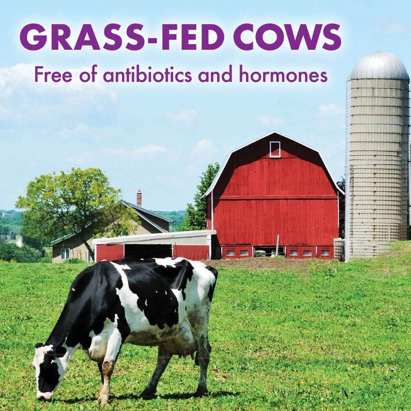BlueBonnet Nutrition Whey Protein Isolate Powder From Grass Fed Cows 26g of Protein No Sugar Added Gluten  Soy free kosher Dairy 2 Lbs 28 Servings French Vanilla Flavor - Image 3