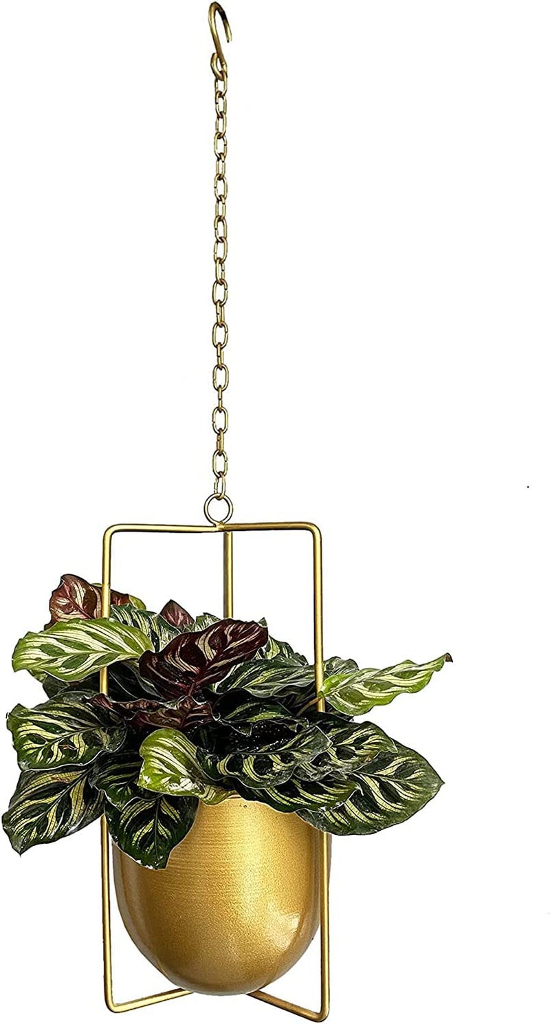 JUSUFU Metal Plant Hanger,Hanging Planters Indoor Hanging Flower Pots (Gold)… - Image 1