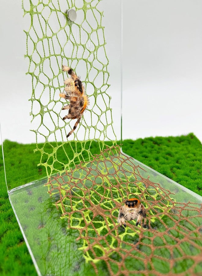 Okueejur 6 PCS Jumping Spider Habitat Accessories-Jumping Spider Webbed Moss Ribbon with Magnets for Spoods Jumping Spider Enclosure Spoods Climbing (3pcs Green + 3pcs Brown) - Image 1