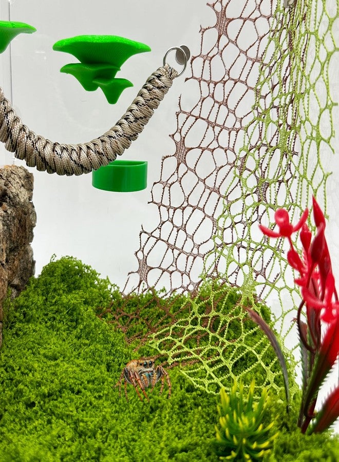 Okueejur 6 PCS Jumping Spider Habitat Accessories-Jumping Spider Webbed Moss Ribbon with Magnets for Spoods Jumping Spider Enclosure Spoods Climbing (3pcs Green + 3pcs Brown) - Image 3