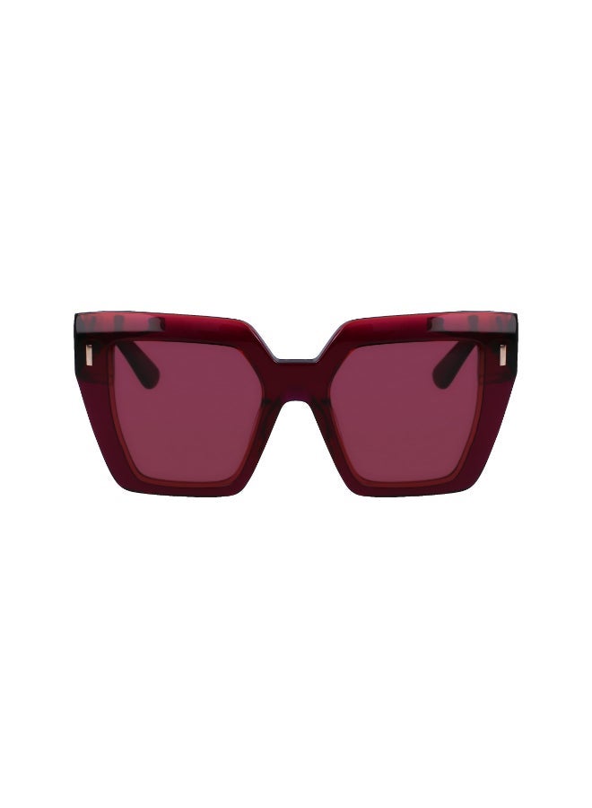 CALVIN KLEIN FULL RIM ACETATE CALVIN KLEIN SUN CK23502S - Image 1