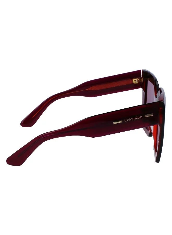 CALVIN KLEIN  FULL RIM ACETATE CALVIN KLEIN SUN CK23502S  | Best Price UAE
